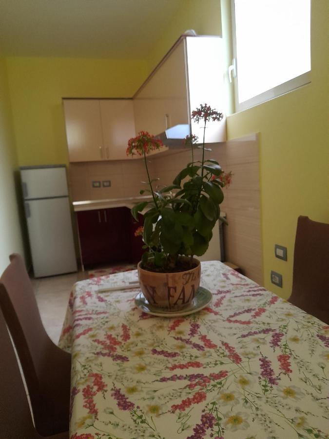 Andi Leilighet Tiranë